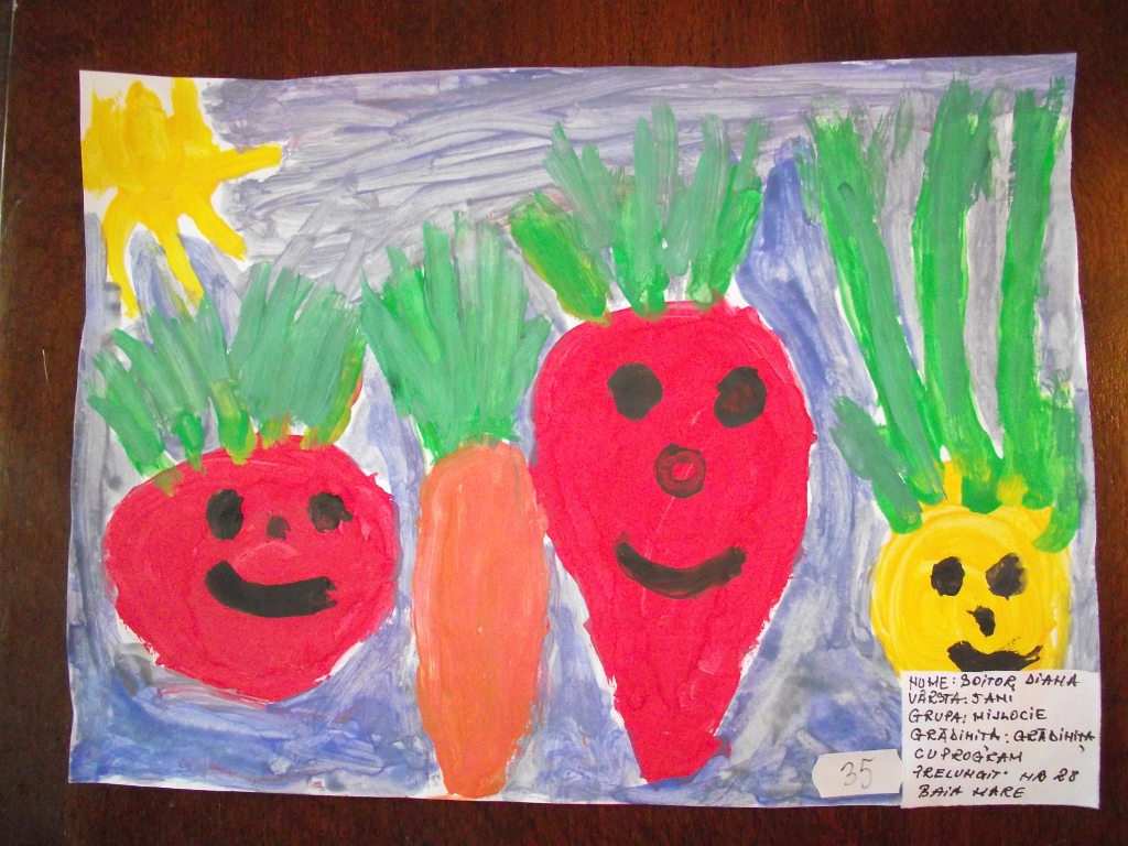 35_Boitor Diana_Gr 28 BM.JPG